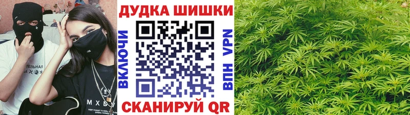 Купить закладки  Ирбит  МАРИХУАНА сатива 